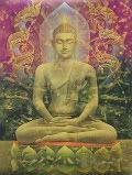 Buddha Pictures, Images and Photos