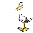 quacking-duck.gif