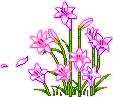 695072k2m8tfrqy2.gif Purple & Pink Flowers image by  axiemeluv