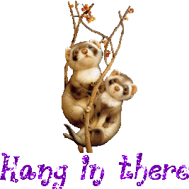 PimpingYourSpace.com. All you can need.