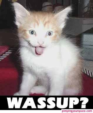 PimpingYourSpace.com. All you can need.