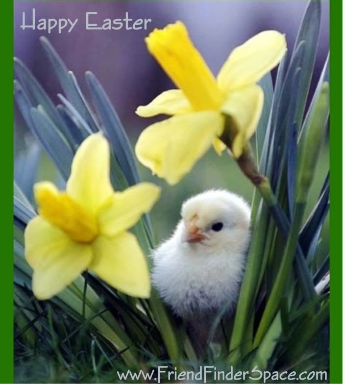 happy easter valykos Pictures, Images and Photos