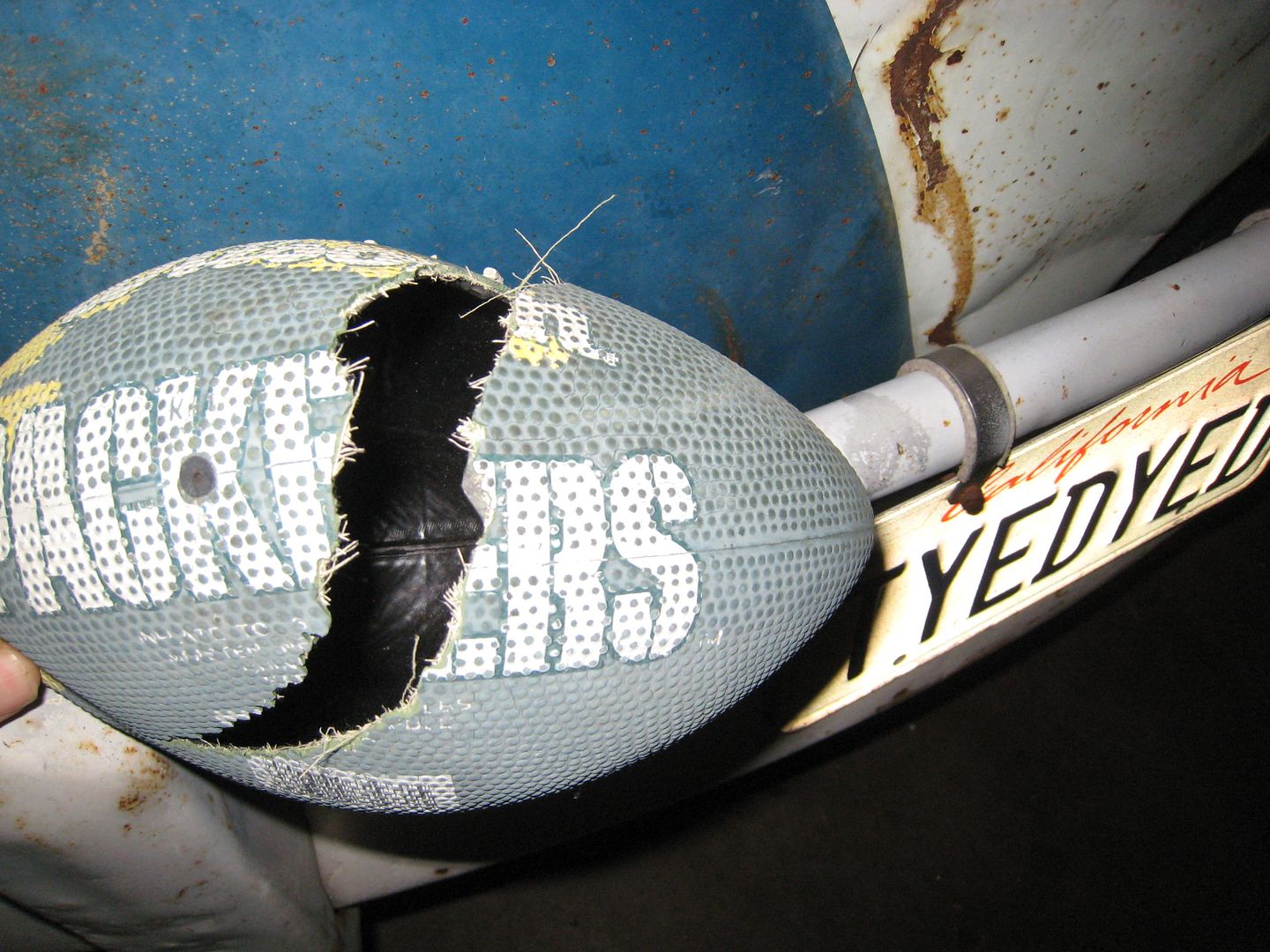 Image may have been reduced in size. Click image to view fullscreen.