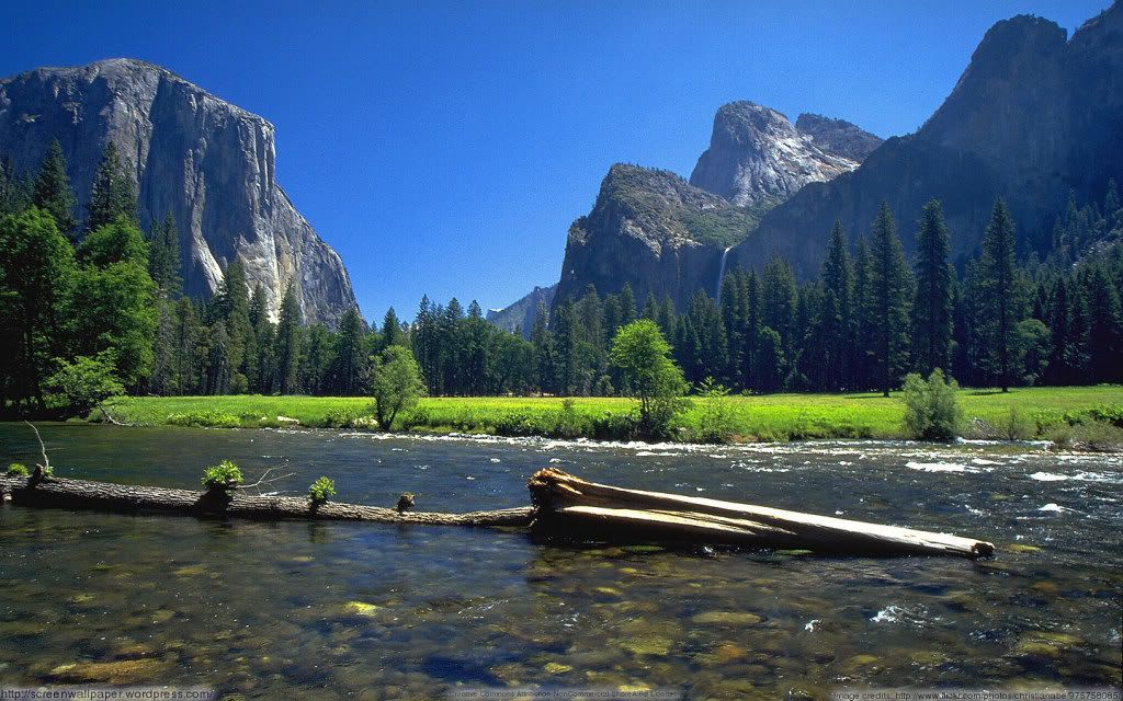 An Iconic Image of Yosemite National Park