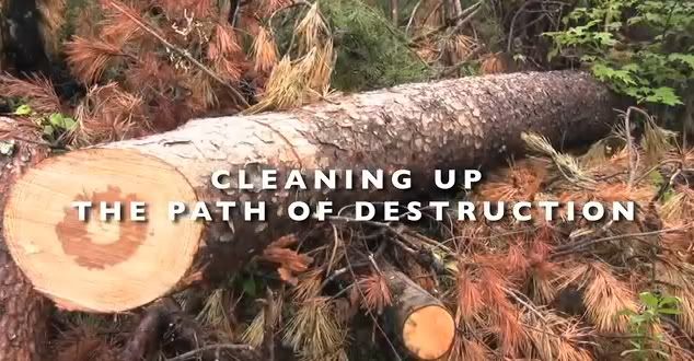 Frame grab from video showing clean up efforts in the Great Smokies National Park