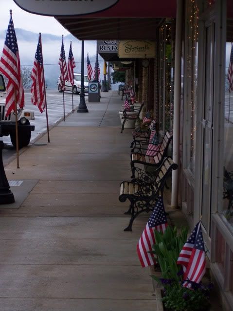 Flags Honoring the Fallen on Main Street in Franklin, NC