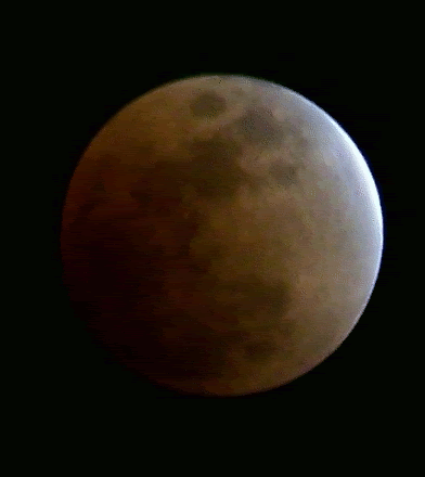 Total Lunar Eclipse Feb 2008. Image Credit Bobby Coggins