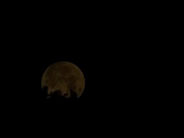 The Moon sets during a total lunar eclipse