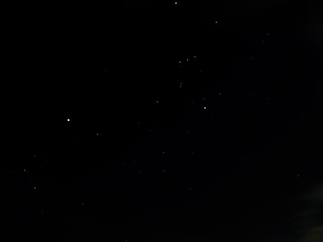 The constellations Orion (upper right) and Canis Major (lower left) 
Photo taken 12-17-2010 by Bobby Coggins All Rights Reserved