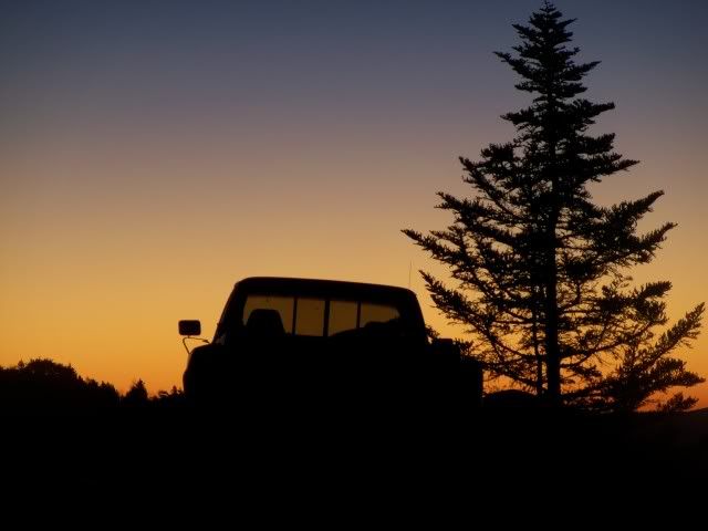 My truck and a tree silhouetted against the predawn horizon 
Photo by Bobby Coggins