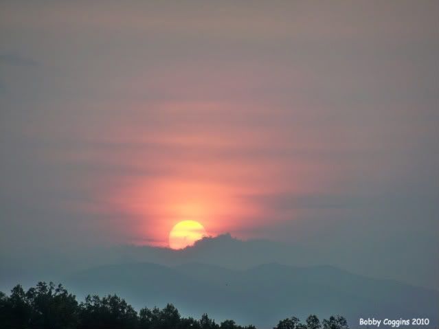 Sunset by Bobby Coggins