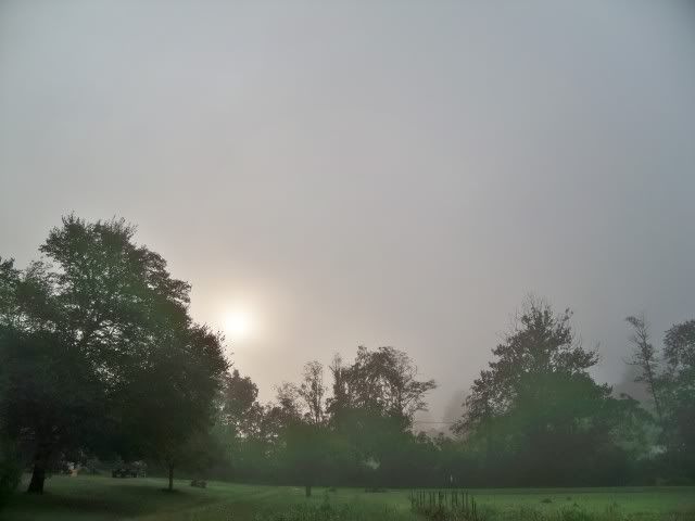 Wider shot of the foggy morning. Photo by Bobby Coggins