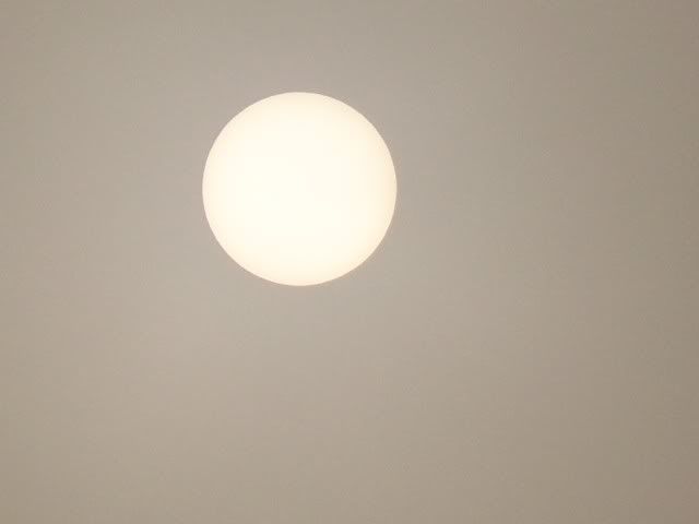 Closeup of the blank sun. Photo by Bobby Coggins