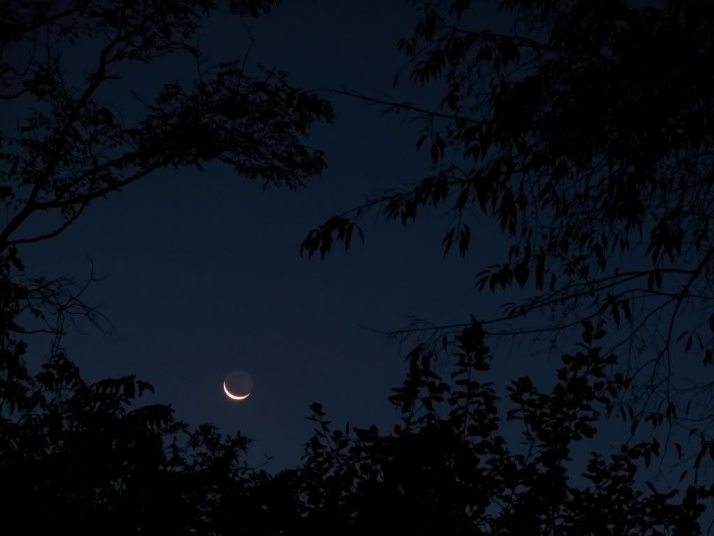 A Waning Crescent
by Bobby Coggins