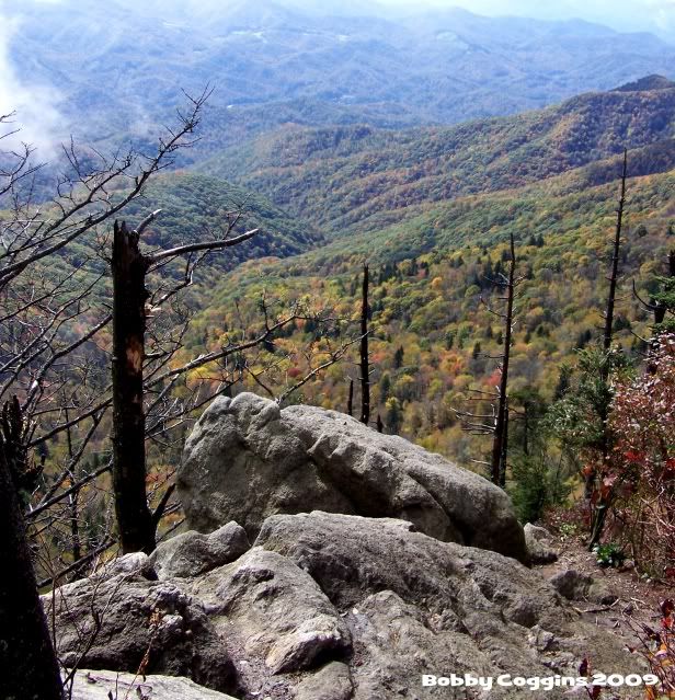 The view from Waterrock Knob in October 2009. Photo by Bobby Coggins.