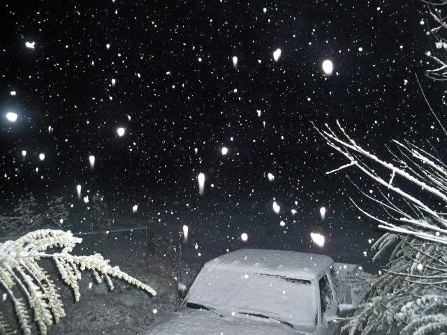 Snow falling at 3am at my house 
Photo by Bobby Coggins