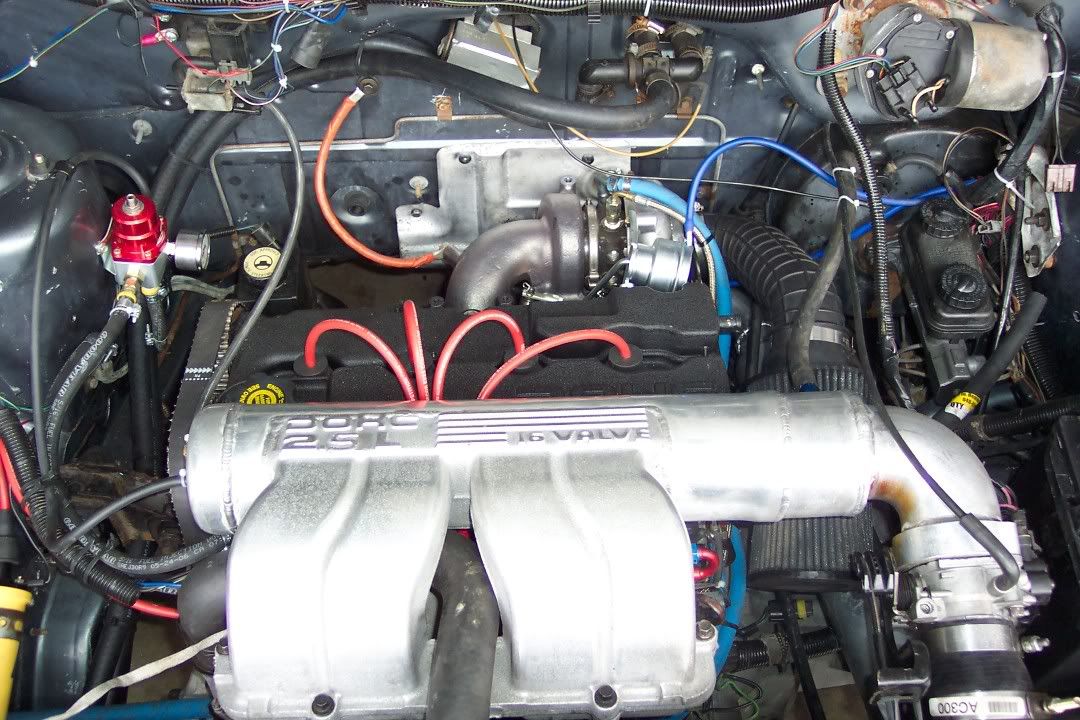 [Image: 000_0001.jpg]