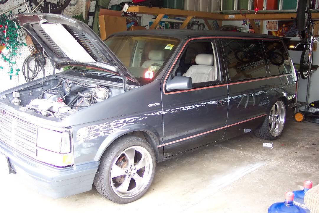 [Image: 000_0003-1.jpg]