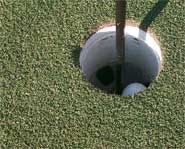 Hole In One Pictures, Images and Photos