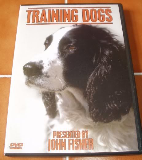 dog-training photo:dominion dog training 