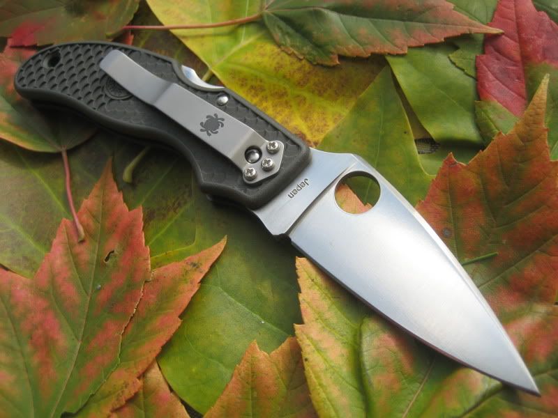 Spyderco Calypso Jr PE Gray FRN