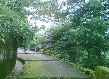 overgrown ashram path