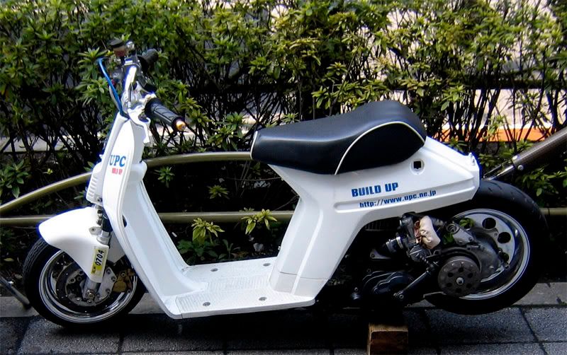 Honda spree dragster