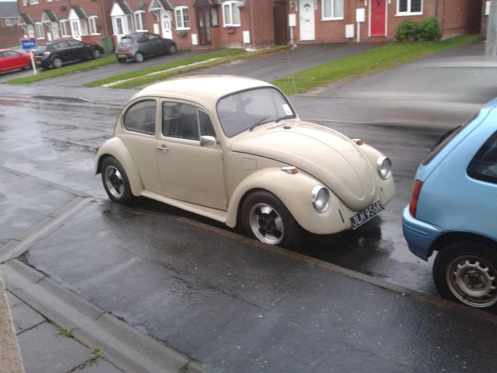 Beetle Bumpers