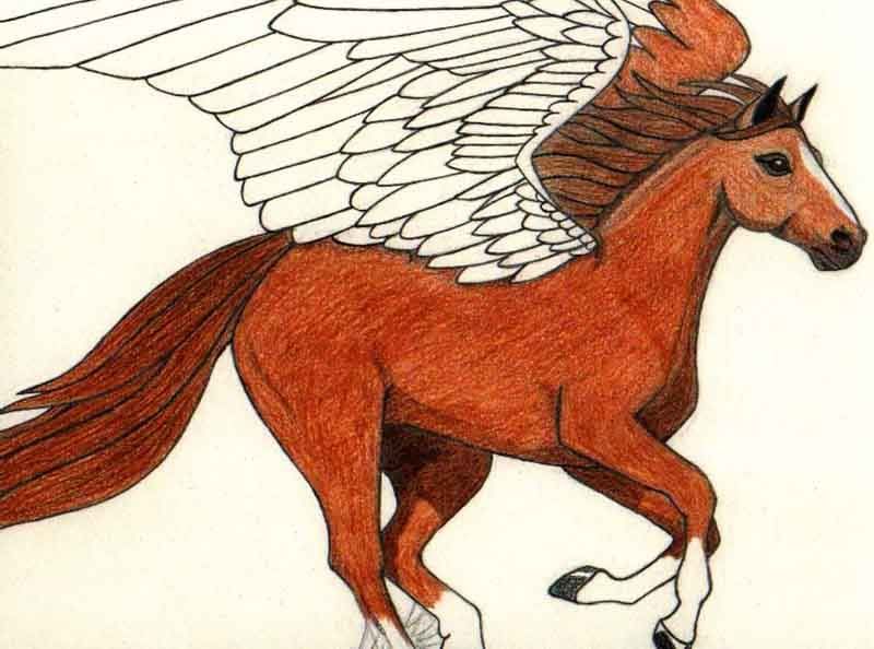 pegasus.jpg winged horse image by frenchchilla