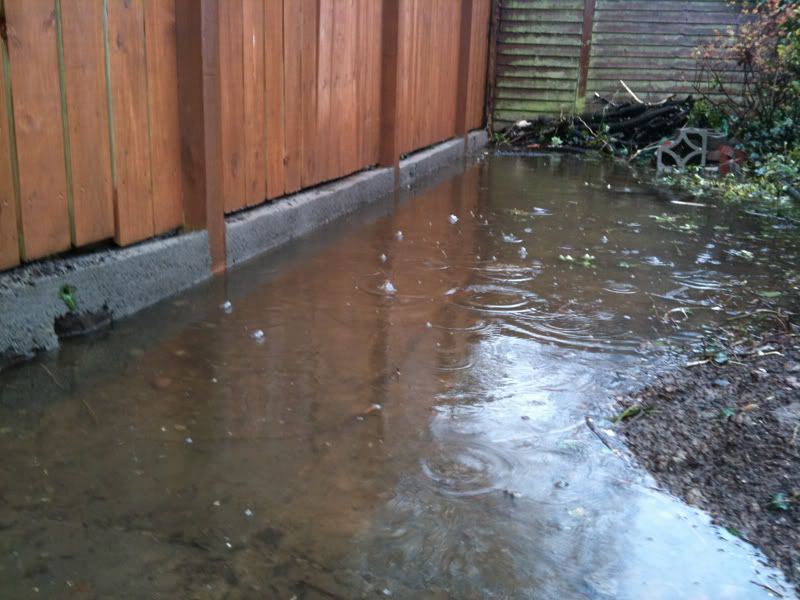 gardenFlood30032010.jpg