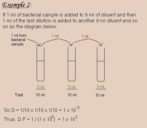 Dilution Problems Bio