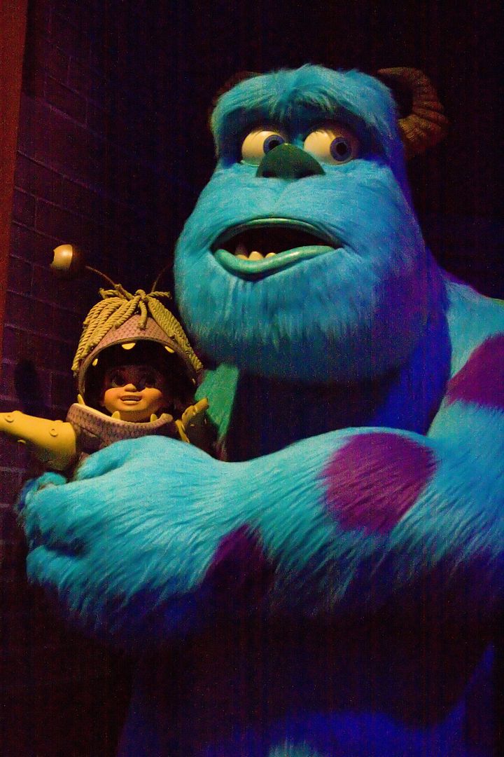 Disneyland2011110_filtered.jpg