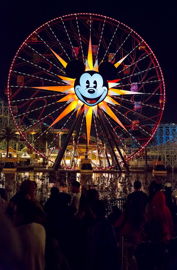 DisneylandTrainingDay4584.jpg