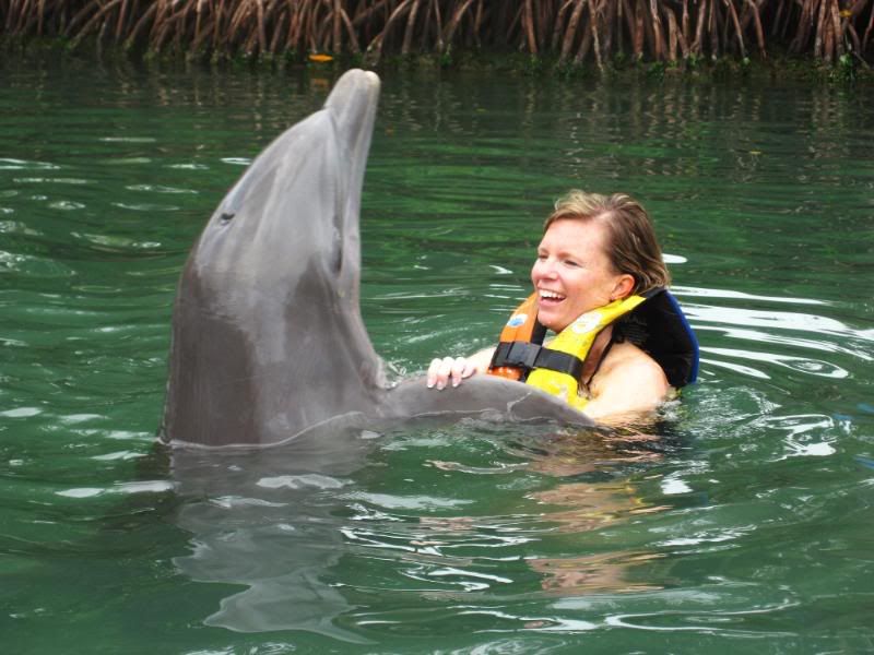 DolphinsTortola066.jpg