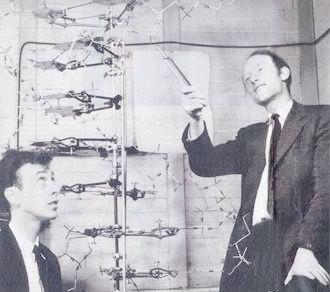 Watson_and_Crick