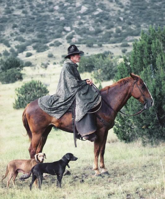 How many here keep a bull for breeding? - Cattle