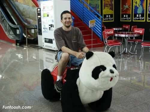 panda_transport.jpg