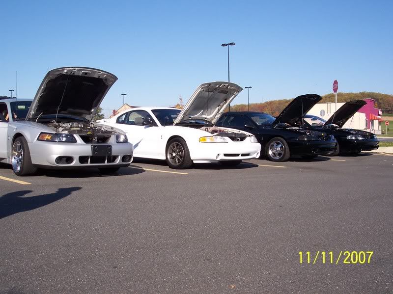 Picture073.jpg