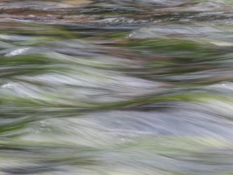 IMAGE: http://i106.photobucket.com/albums/m262/RoddieD/IMG_4348sm.jpg