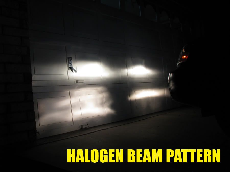 [Image: foresterHID_001.jpg]