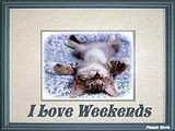 Weekends.jpg image by devildog_011
