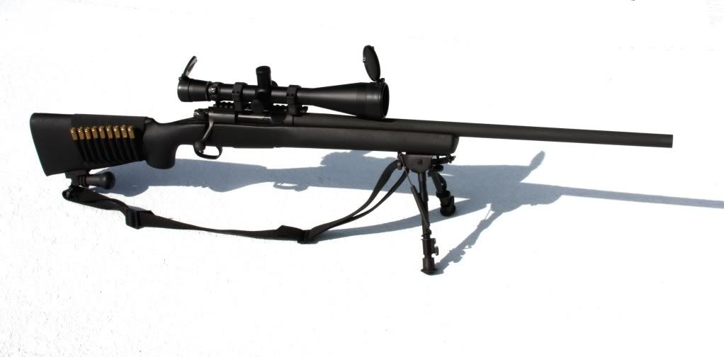 308spr.jpg