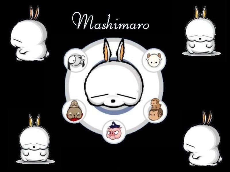 mashimaro7.jpg