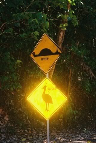 Cassowarysign.jpg