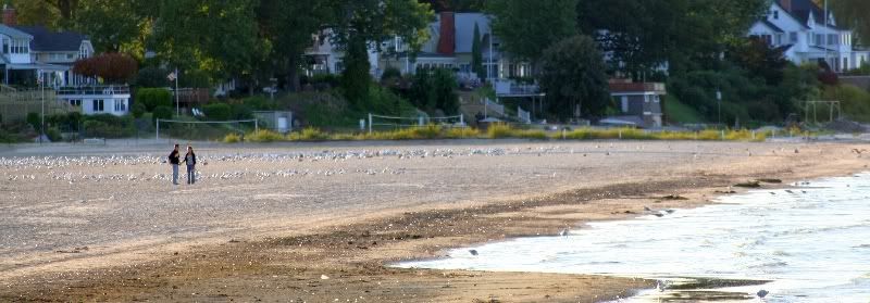 IMAGE: http://i106.photobucket.com/albums/m269/drkrvnchld/coupleonbeach.jpg