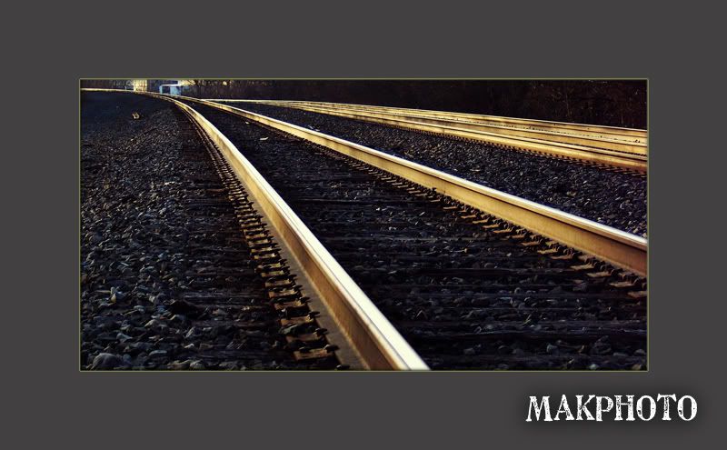 IMAGE: http://i106.photobucket.com/albums/m269/drkrvnchld/goldenrails2resize.jpg