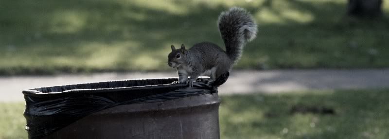 IMAGE: http://i106.photobucket.com/albums/m269/drkrvnchld/skwurlcan.jpg