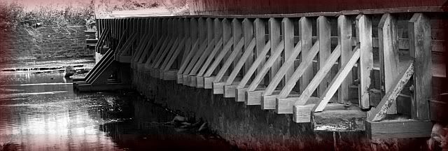 IMAGE: http://i106.photobucket.com/albums/m269/drkrvnchld/trianglerowdesktopcopyredframemyspa.jpg