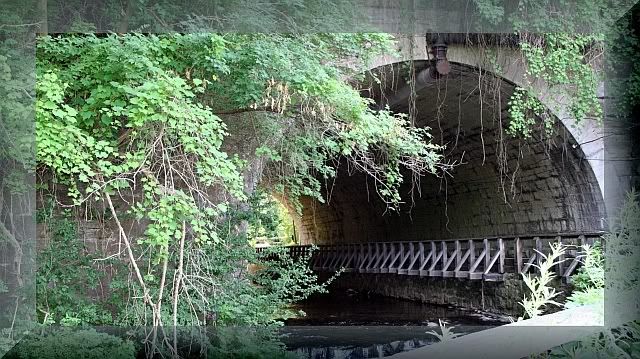 IMAGE: http://i106.photobucket.com/albums/m269/drkrvnchld/tunnelframedresizedmyspace.jpg