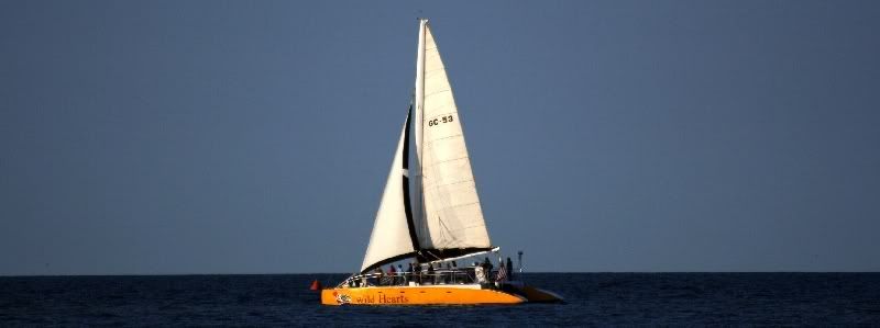 IMAGE: http://i106.photobucket.com/albums/m269/drkrvnchld/wildheartsboat.jpg